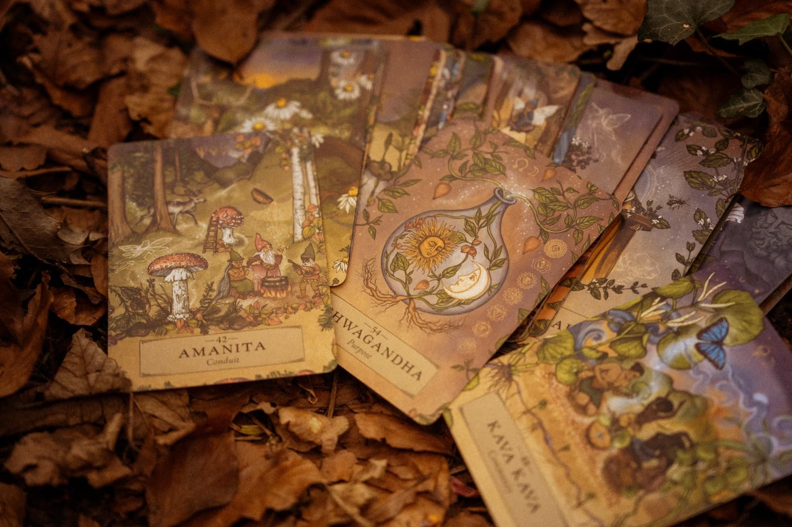 Oracle cards for reflection after the sound bath
